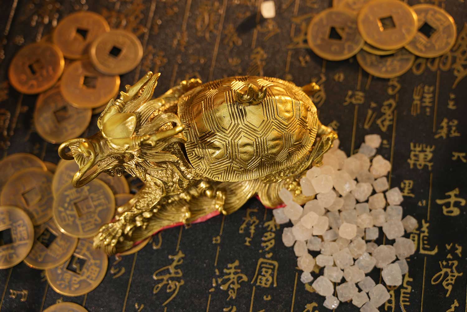 吉祥财运龙龟
